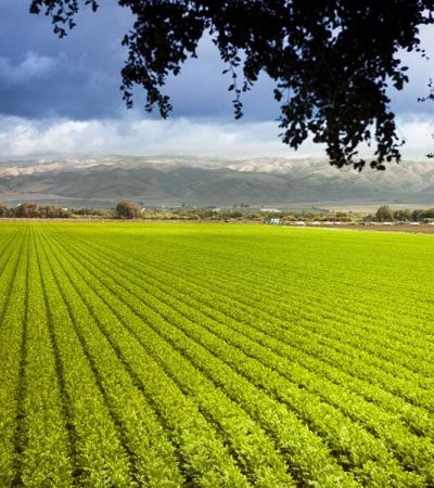 istock_000020025982_large istock_000020025982_large