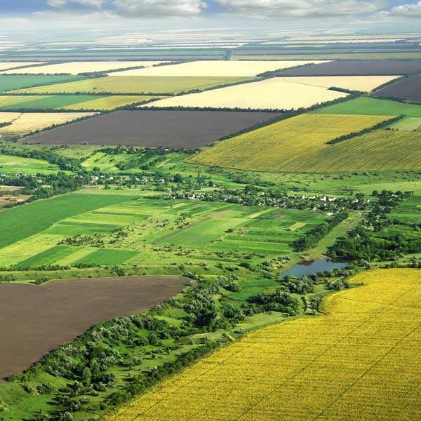 teren_agricol_1_vanzare teren_agricol_1_vanzare